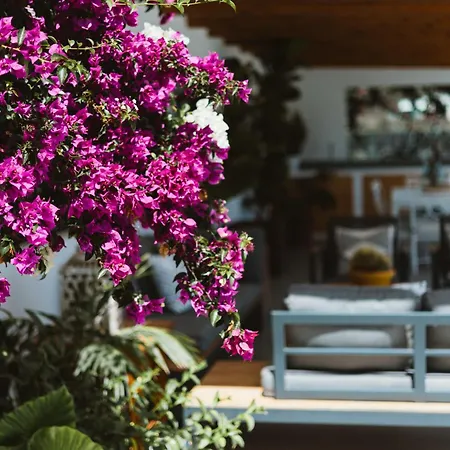 Encantadora villa en el corazon de Lanzarote Masdache